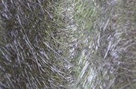 Yetlington fibreglass roof work